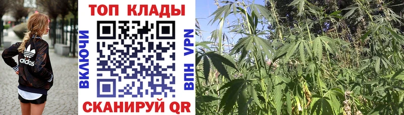 Купить закладку Нижнеудинск COCAIN  Альфа ПВП  Канабис  КЕТАМИН  Меф  Псилоцибиновые грибы 