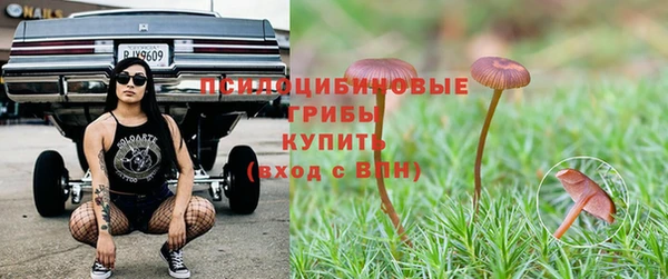 гидра Медвежьегорск