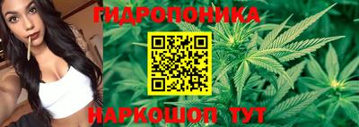 крисы Заволжье
