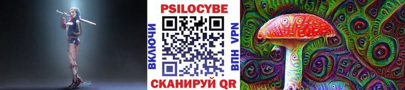 Псилоцибиновые грибы Psilocybe  KRAKEN зеркало  Нижнеудинск 