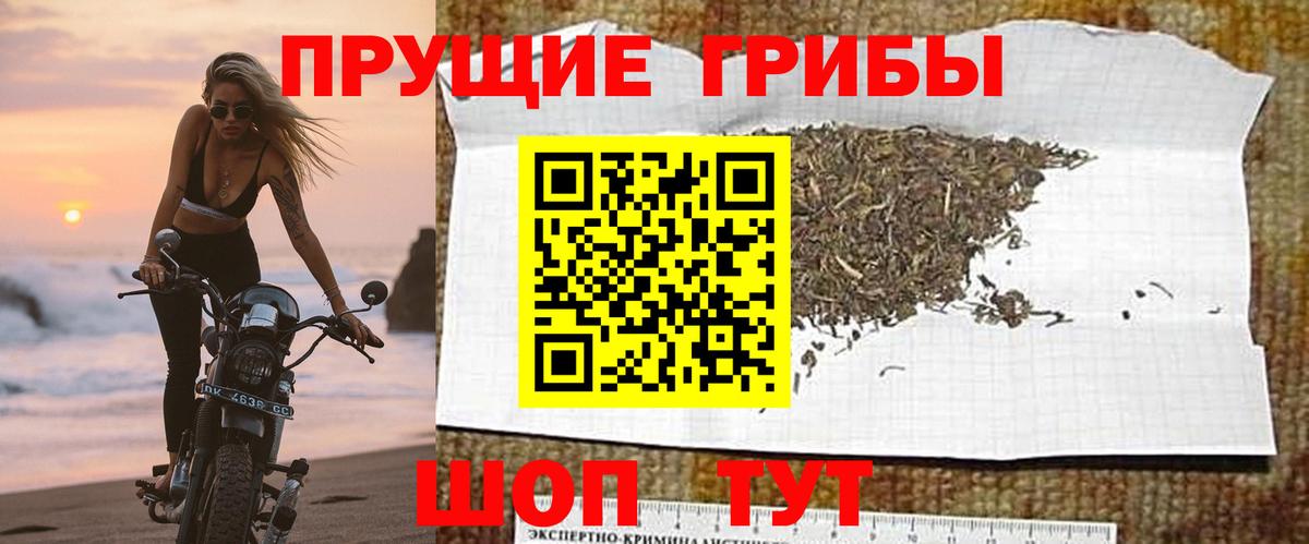 Псилоцибиновые грибы Magic Shrooms  Вход с VPN  Нижнеудинск  Псилоцибиновые грибы GOLDEN TEACHER 